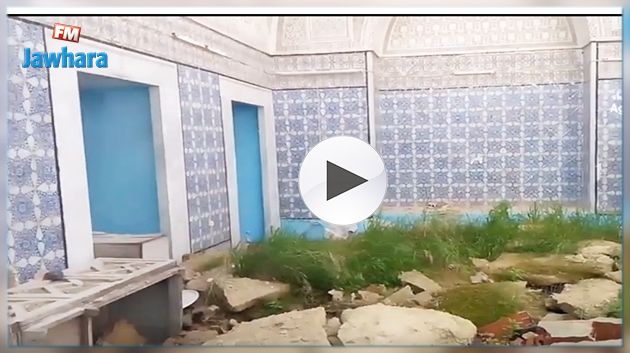 بالفيديو : قصور منوبة في حالة احتضار