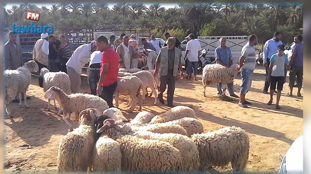 توزر : 900 ألف دينار لتهيئة سوق الدواب