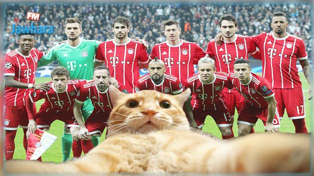 الإتحاد الأوروبي يفتح تحقيقا مع بشكتاش التركي بسبب قطة
