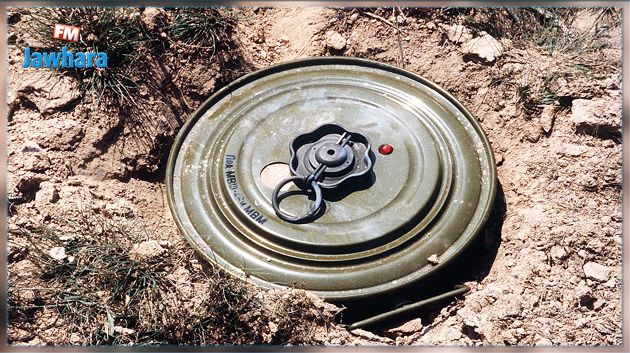  آمر الفيلق 61 هندسة : نكشف يوميا عن ألغام مضادة للدبابات والأشخاص
