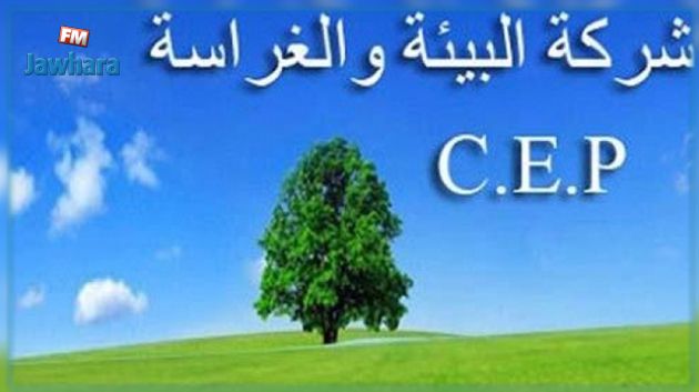 انتداب أعوان وإطارات بشركة البيئة والغراسة بتطاوين: النتائج الأولية للمناظرة
