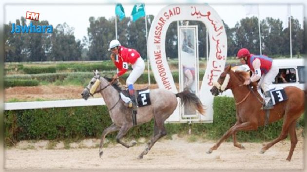 المهرة هيبة تفوز بسباق الجائزة الكبرى لرئيس الجمهورية للخيول العربية الأصيلة