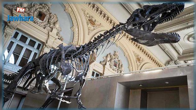 بيع هيكل ديناصور من سلالة جديدة مقابل أكثر من مليوني دولار