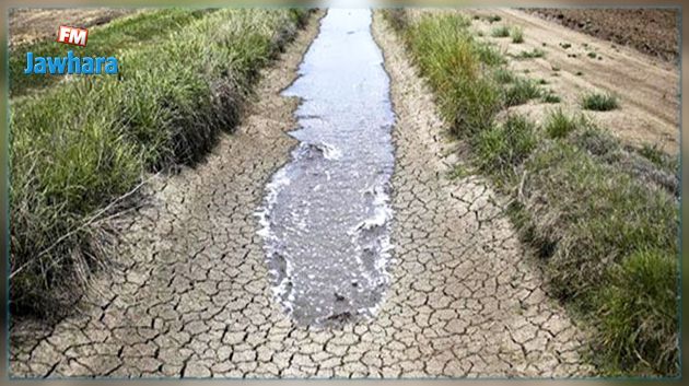 بوسالم : وقفة احتجاجية للفلاحين