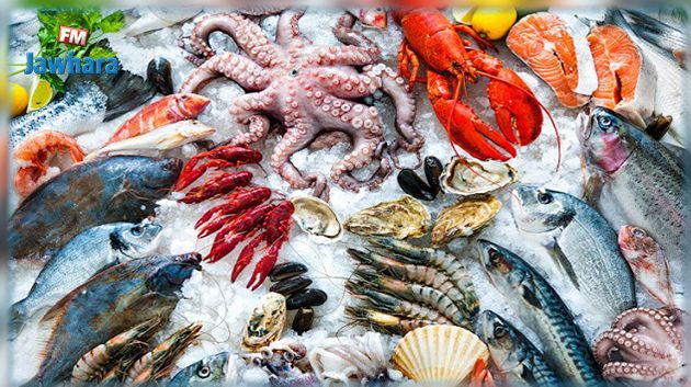 إرتفاع هام في صادرات منتجات الصيد البحري