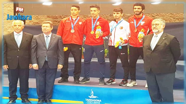 الألعاب المتوسطية تاراغونا 2018: ميدالية فضية لنادر العزوزي في الكاراتي