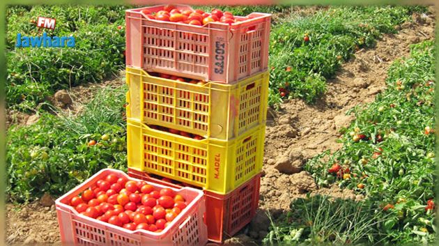 صادرات المنتجات البيولوجية تسجل تطورا