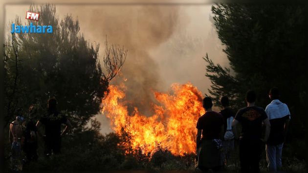 أكثر من 20 قتيلا في حرائق غابات باليونان
