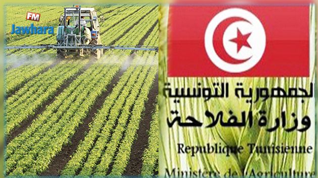 وزارة الفلاحة تقدم منحة لأساتذة مؤسسات البحث والتعليم العالي الفلاحي