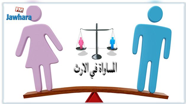 على غرار تونس : منظمة حقوقية مصرية تطالب بسن قانون للمساواة بالميراث بمصر 