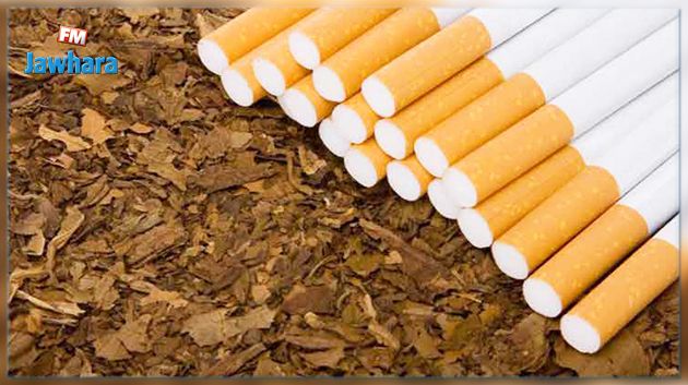 نابل: تضرّر صابة التّبغ بعد الأمطار الأخيرة