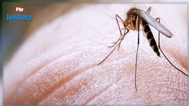 فيروس حمّى غرب النيل : المستجدّات