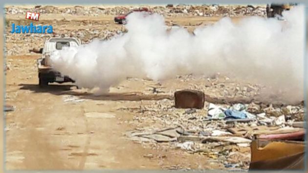 المهدية : الانطلاق غدا في عمليات المداواة لمخافر البعوض