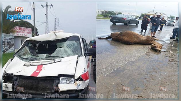 ياسمين الحمامات : حادث اصطدام بين لواج وناقة 