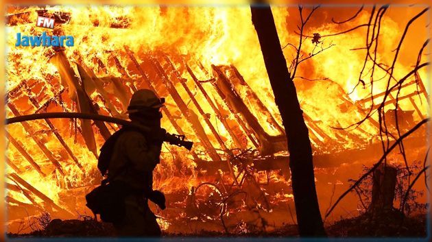 حرائق الغابات تقتل ما لا يقل عن 42 شخصا في شمال كاليفورنيا