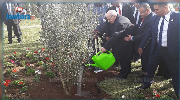 رئيس الجمهورية : عيد الشجرة مسألة مهمة