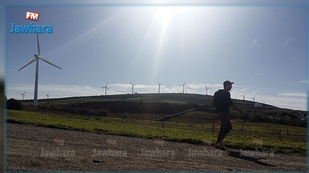 أهالي منطقة برج الصالحي بالهوارية يشتكون تركيز النواعير الهوائية ومرض غامض يتهددهم