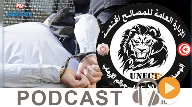   نشرة أخبار منتصف النهار ليوم الإربعاء 19 ديسمبر 2018