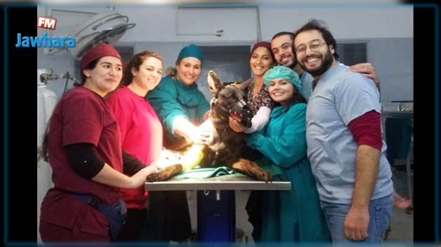 عملية 'فريتس' الجراحية تكلّل بالنجاح