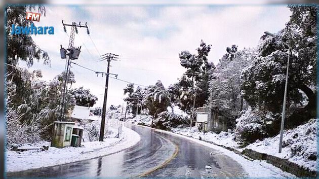 جندوبة : إيواء زوّار تعطلت وسائل تنقّلهم وإنقاذ شبان 