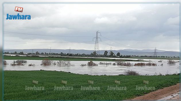 جندوبة : المياه تحاصر 11 عائلة 