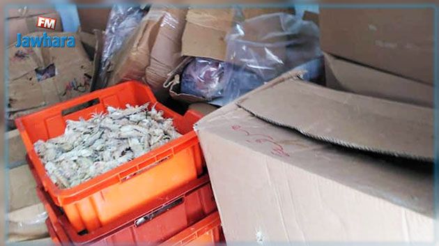 صفاقس : حجز كمية من الأسماك غير صالحة للاستهلاك
