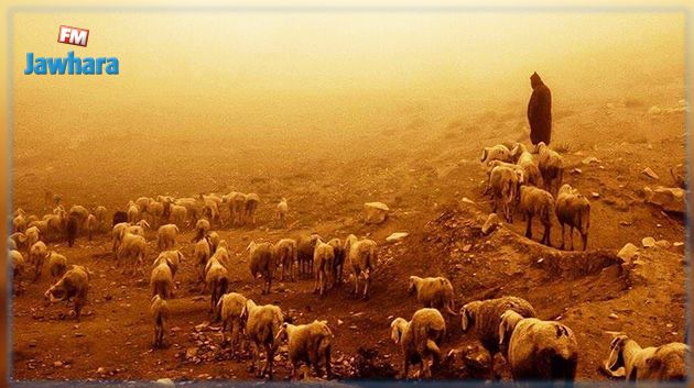 الدّورة الثّامنة لعيد الرّعاة بجبل سمّامة : احتفاء بجبال