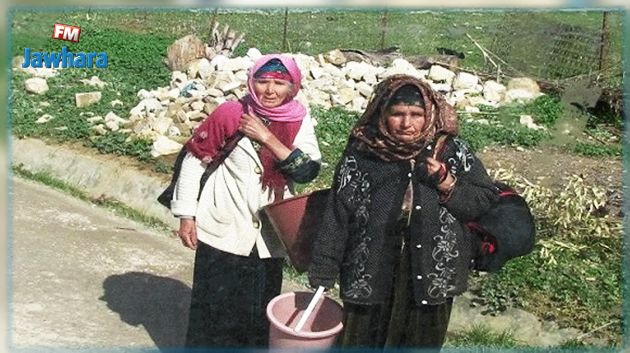 بداية من الغد.. إنخراط عاملات الفلاحة في التغطية الاجتماعية عبر الهاتف الجوّال