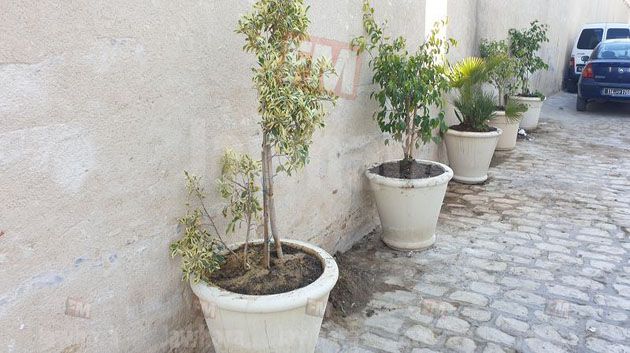 بعد سرقتها : جمعية