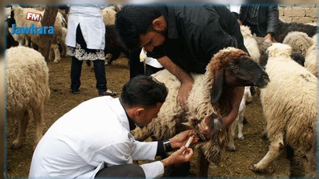 القيروان : فلاح يعتدي بالعنف على بيطري و يحيله على المستشفى