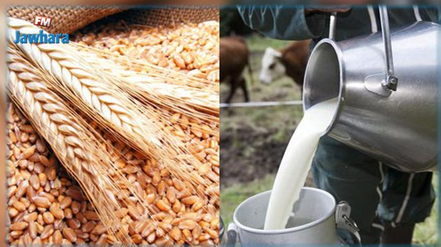 نقابة الفلاحين تستنكر الترفيع في أسعار قبول الحبوب والحليب عند الإنتاج