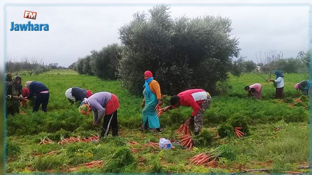 بداية من الغد..انطلاق العمل بمنظومة 