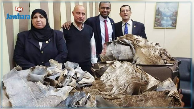 ضبط كمية كبيرة من جلود الثعابين بمطار القاهرة
