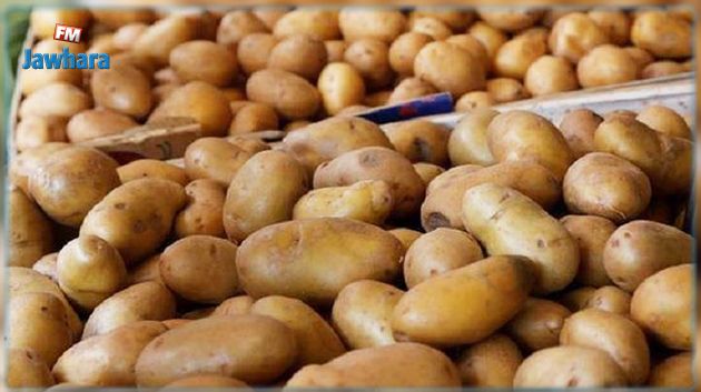 توريد 3 آلاف طن من البطاطا من مصر : نقابة الفلاحين تحتج