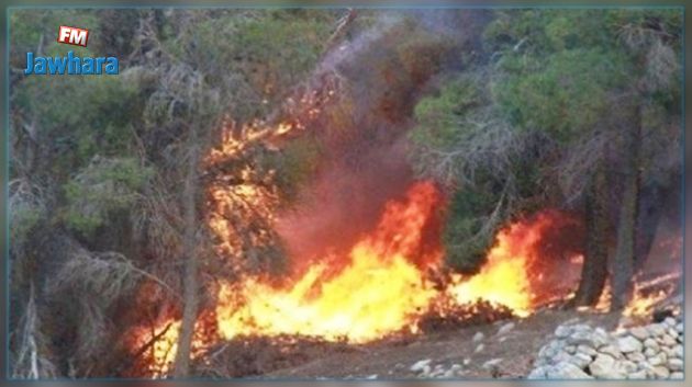 عين جلولة : اطفاء حريق بجبل الحلفاء