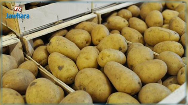 وزير التجارة يوضّح بخصوص البطاطا التي تم توريدها