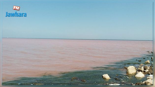 توضيح وزارة الشؤون المحلية والبيئة حول تحول مياه البحر إلى اللون الأحمر