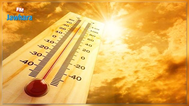 الحرارة تصل الى 49 درجة بالجنوب التونسي
