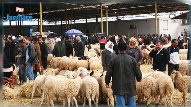 إدراج نقاط بيع الأضاحي على موقع 
