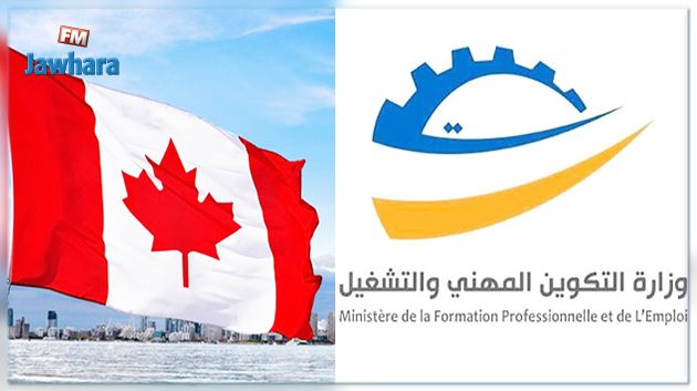 حرمان 700 ألف شاب من فرصة عمل في كندا : وزارة التشغيل توضح