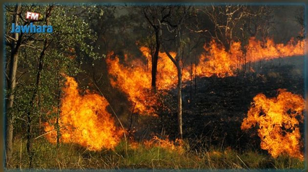 نشوب حريق بالمنطقة العسكرية المغلقة بجبل سمامة