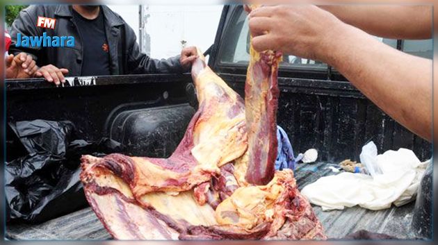 سيدي بوزيد : إتلاف لحوم أبقار مصابة بالسلّ