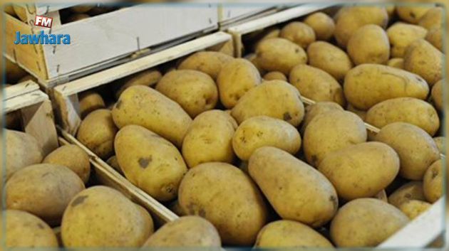 دعوة السلطات للكشف عن الوثائق التي تثبت سلامة البطاطا الموردة 