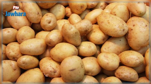 المنستير: حجز 206 أطنان من البطاطا 