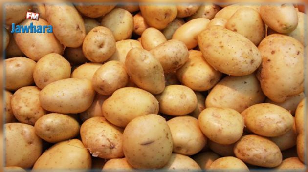 المنستير: حجز 206 أطنان من البطاطا