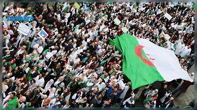 حملة ضد الفساد في الجزائر : إقالات جديدة تشمل أقارب بوتفليقة