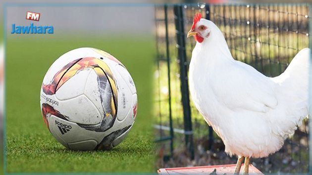 ورقة حمراء و قضية للاعب كرة قدم بسبب دجاجة