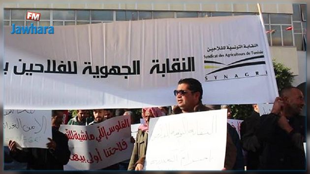 غدا.. وقفة احتجاجية للفلاحين في كافة أنحاء الجمهورية
