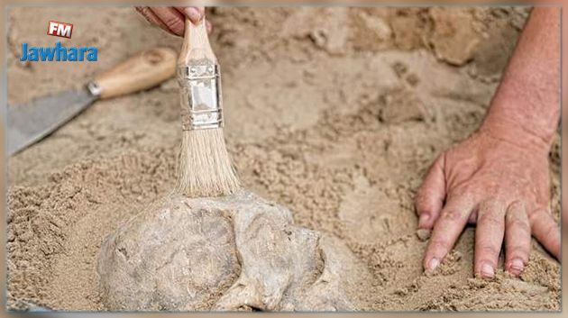 سوسة : إيقاف منتحل صفة عون أمن متورط في التنقيب عن الآثار