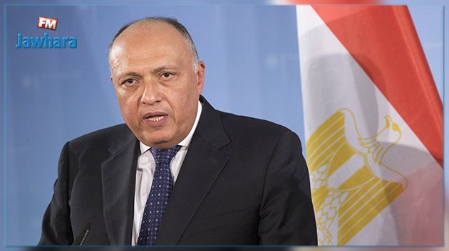 وزير الخارجية المصري يتوجّه إلى الجزائر حاملا رسالة من السّيسي